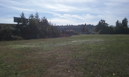 20171009_120738.jpg