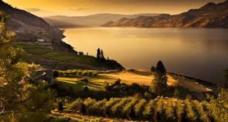 download.jpg download.jpg