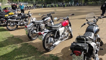 IMG-Field of dreams2.JPG IMG-Field of dreams2.JPG